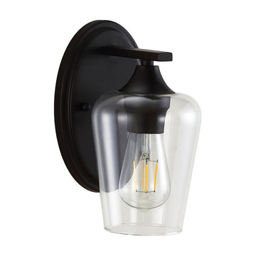 Jayne Iron/Glass Cottage Rustic LED Vanity Light